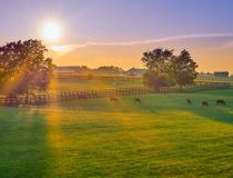 Rural photo of Farmville, VA area